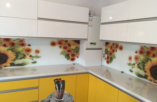 placari sticla termorezistenta printata / vopsita ceramic bucatarie